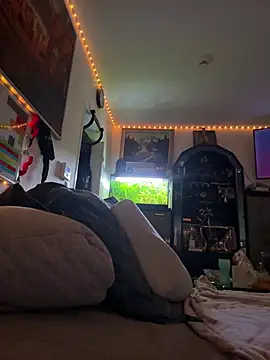 Toyjungee online show from February 3, 2026, 8:08 am