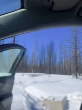 GoldenFlameGoddess online show from March 6, 2025, 7:54 pm