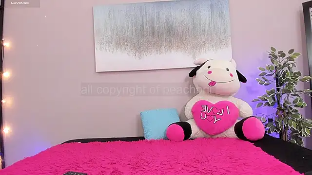 Briana Wells  online show from November 19, 2025, 2:06 pm