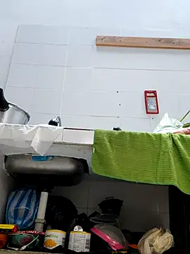 Dannacamila online show from November 17, 2025, 4:13 pm