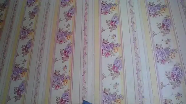 Snapshot of Skills_ chatting on December 5, 2024, 5:26 am Skills online show from December 5, 2024, 5:26 am