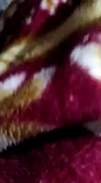 Longlund9 online show from December 15, 2024, 4:48 pm