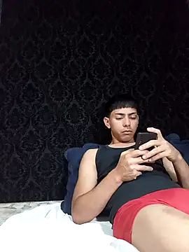 Snapshot of SEBASTHIAN chatting on April 13, 2026, 11:54 pm SEBASTHIAN online show from April 13, 2026, 11:54 pm