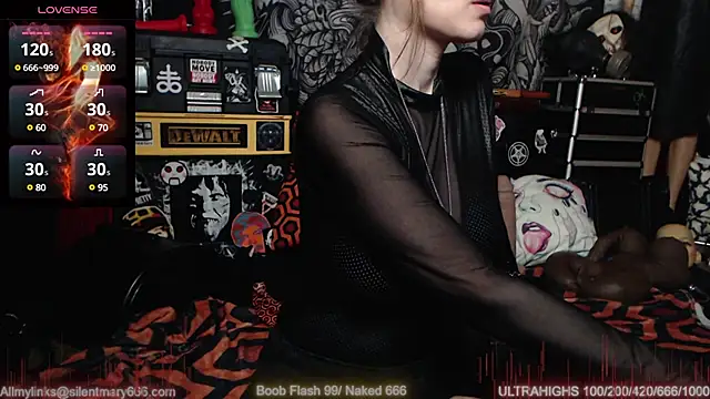 Silentmary online show from February 27, 2025, 4:53 pm