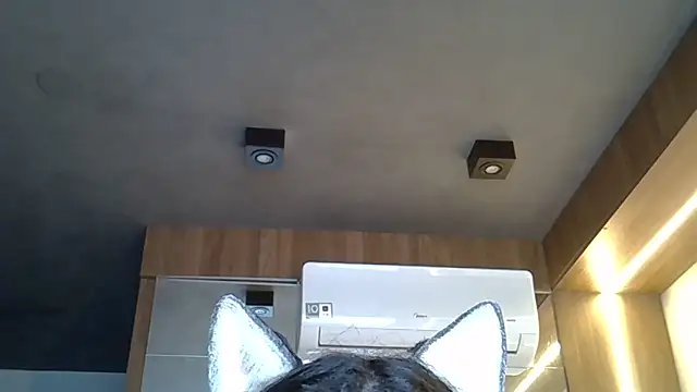 Skinny-Kitten online show from November 1, 2025, 9:33 am