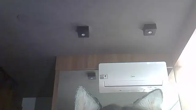 Skinny-Kitten online show from December 14, 2025, 2:50 am