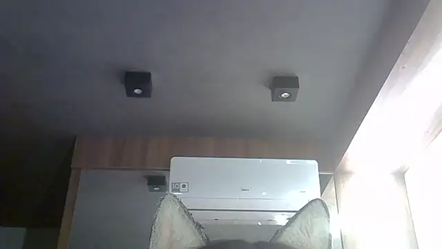 Skinny-Kitten online show from January 8, 2026, 5:43 am