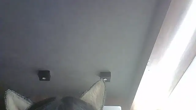 Skinny-Kitten online show from January 19, 2026, 7:23 am