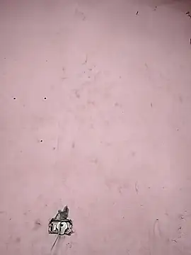 Sliced Digit online show from March 9, 2025, 10:41 pm