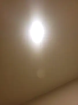 lofibunni online show from February 14, 2026, 12:46 pm