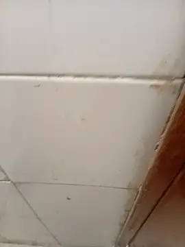 ManBlackhot online show from April 4, 2026, 2:25 pm