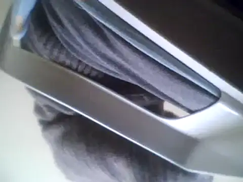 bestofyalcinturkey online show from March 3, 2025, 8:38 am