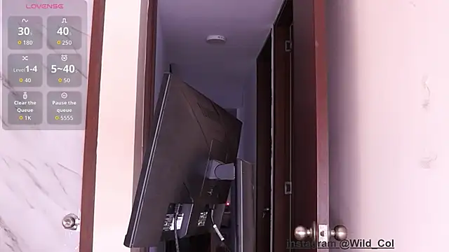 wild col  online show from September 27, 2025, 11:37 am