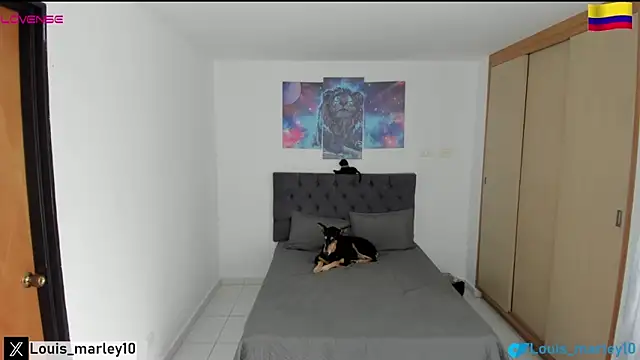 Louis marley   online show from February 13, 2025, 8:13 pm