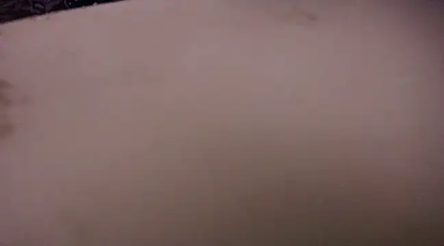 yselahot online show from February 13, 2025, 11:47 pm