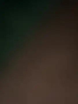 Snapshot of Terrafirma chatting on February 16, 2025, 11:49 am Terrafirma online show from February 16, 2025, 11:49 am