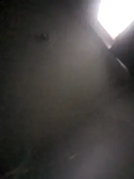 kevin613603 online show from February 1, 2026, 10:47 am