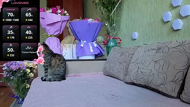 Miss Flexi fit online show from March 8, 2026, 12:09 pm