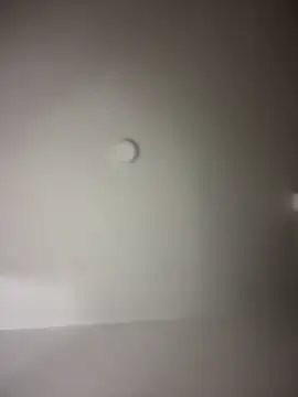 MichelleFerry  online show from December 16, 2024, 7:37 am