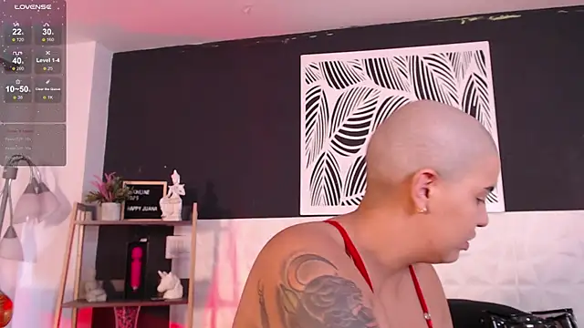 WildyTemping online show from March 1, 2025, 4:11 pm