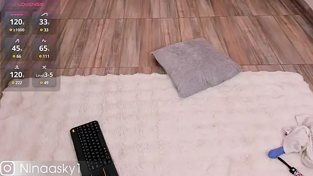 ninaa sky online show from December 4, 2024, 2:59 pm