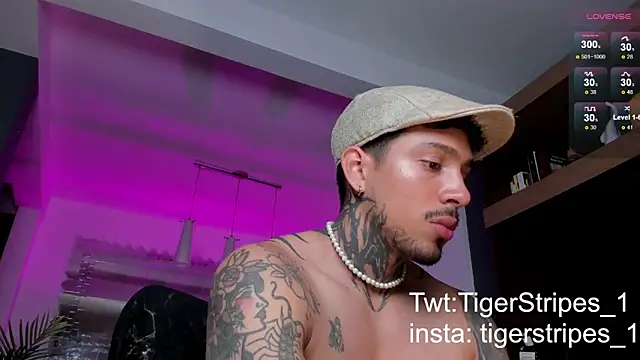 TigerStripes1  online show from February 9, 2025, 10:32 pm