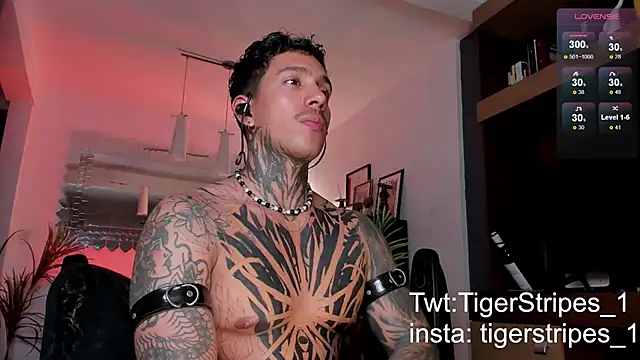 TigerStripes1  online show from February 22, 2025, 4:18 am