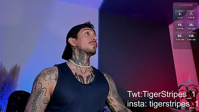 TigerStripes1  online show from March 15, 2025, 12:25 am