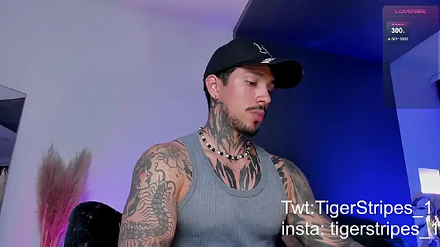 TigerStripes1  online show from March 19, 2025, 12:59 am