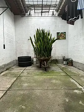 oliver price1 online show from November 13, 2025, 9:14 pm