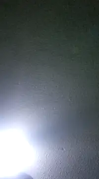 Elcogetuquieres online show from January 8, 2025, 5:16 am