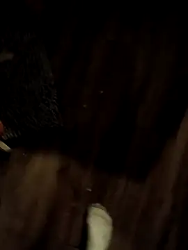 Donglong80 online show from November 17, 2025, 11:16 am