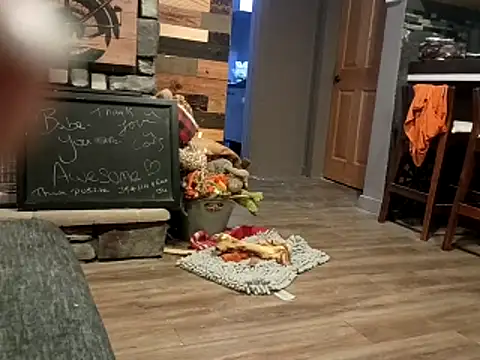 Donglong80 online show from November 25, 2025, 12:05 pm